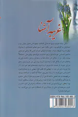 غریبه آشنا